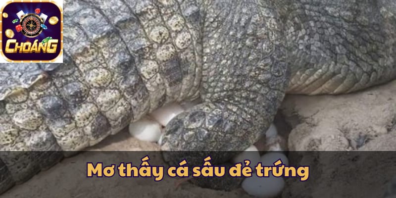 Mơ thấy cá sấu đẻ trứng