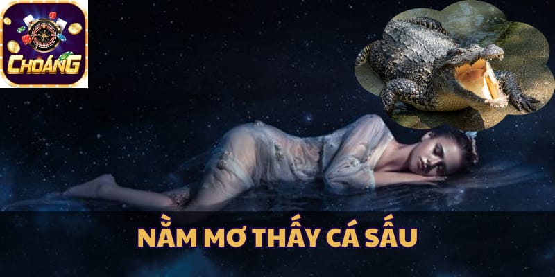 nằm mơ thấy cá sấu