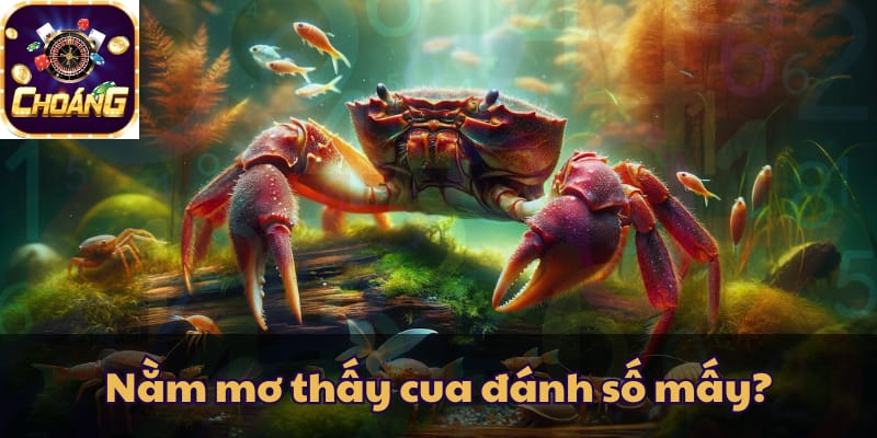 Nằm mơ thấy cua đánh số đề con gì để trúng