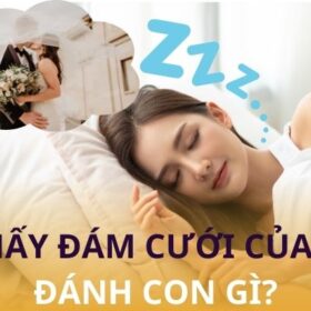 Giải Mã Chi Tiết Mơ Thấy Đám Cưới Của Mình Đánh Con Gì?